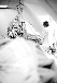 Parfums Dior en publicit&eacute; vid&eacute;o