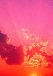 Amor Amor Sunrise de Cacharel