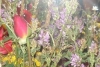 Bouquet de fleur en f&ecirc;te