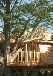 La cabane dans les arbres
