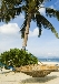 Eau de noix de coco Va&iuml;va&iuml; : 33 cl de vacances &agrave; boire