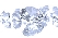 avatar default