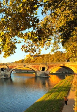 LA T&Ecirc;TE DANS LES &Eacute;TOILES... &Agrave; TOULOUSE