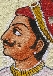 Le pays des rois : Le Rajasthan !